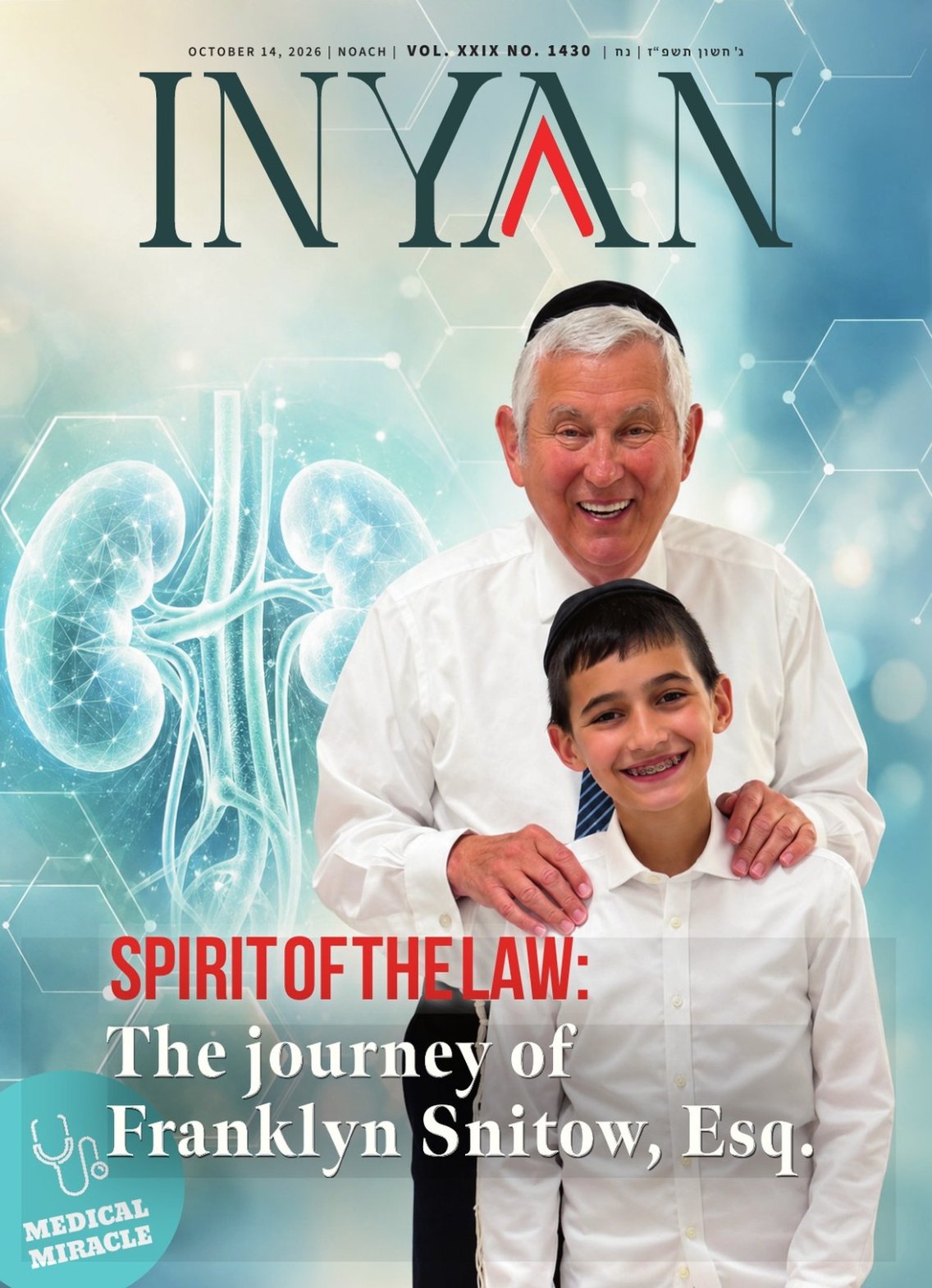 Spirit of the Law: The Journey of Franklyn Snitow, Esq.
